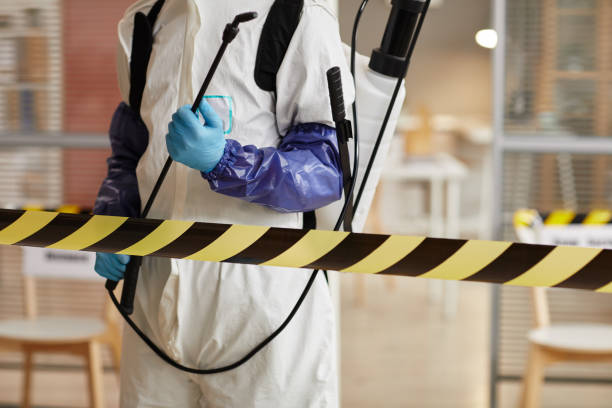 Professional Sewage Cleanup technician working in Glencoe, IL