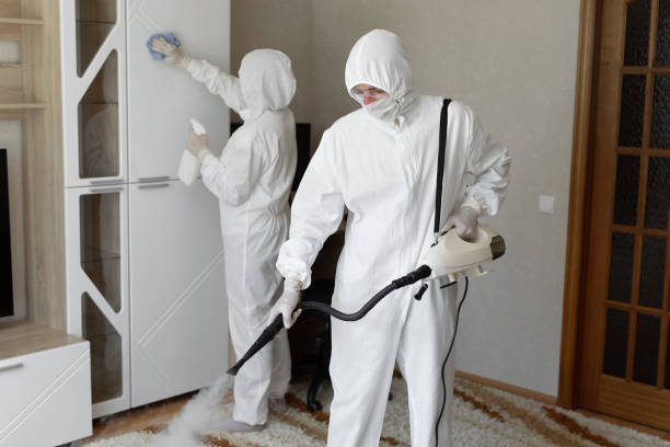 24/7 Emergency Sewage Cleanup experts in Glencoe, IL
